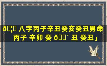 🦁 八字丙子辛丑癸亥癸丑男命「丙子 辛卯 癸 🐴 丑 癸丑」